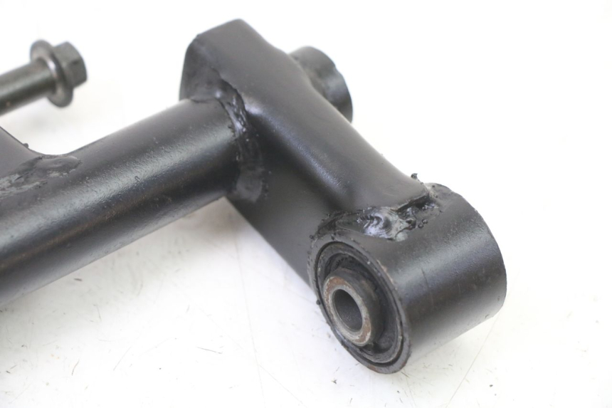 photo de MOTORHALTER PEUGEOT TWEET 4T 50 (2014 - 2019)