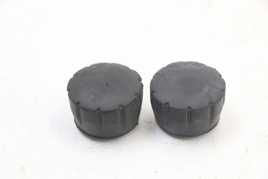 photo de HALTER KRAFTSTOFFTANK ROYAL ENFIELD SCRAM 411 (2022 - 2024)