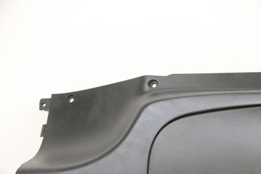 photo de BEINSCHILD PEUGEOT TWEET PRO EFI 4T 50 (2021 - 2022)