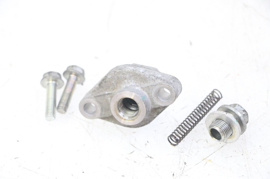 photo de STEUERKETTENSPANNER  HONDA FORZA ABS 300 (2013 - 2019)