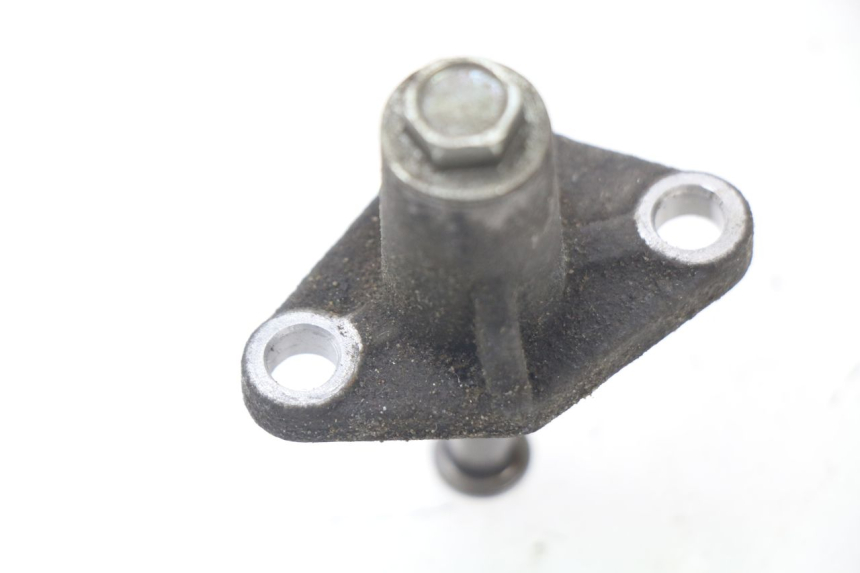 photo de STEUERKETTENSPANNER  PIAGGIO MP3 LT 300 (2010 - 2016)