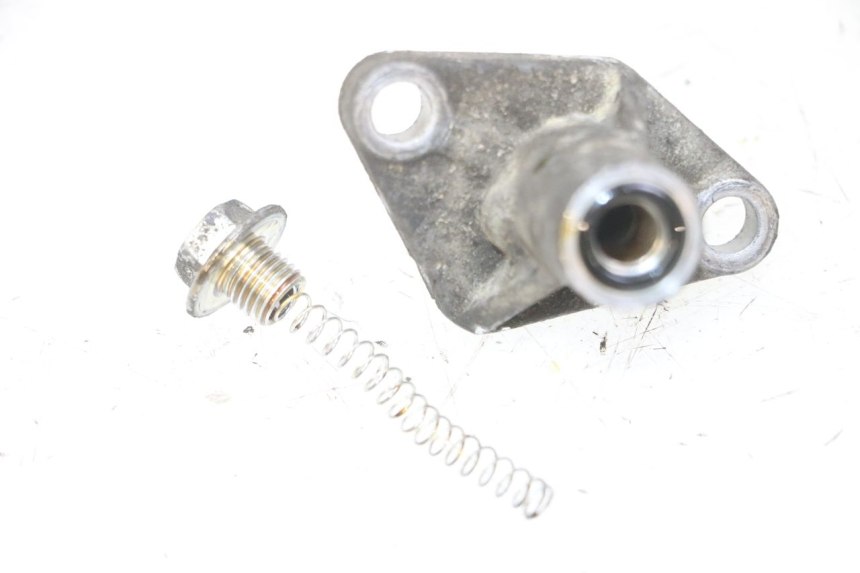 photo de STEUERKETTENSPANNER  PIAGGIO MP3 LT 300 (2010 - 2016)