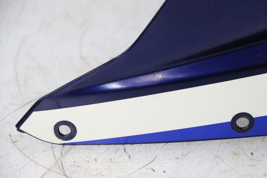 photo de KANZEL SUZUKI GSXR GSX-R 1000 (2003 - 2004) - Qualität der Gebrauchtware