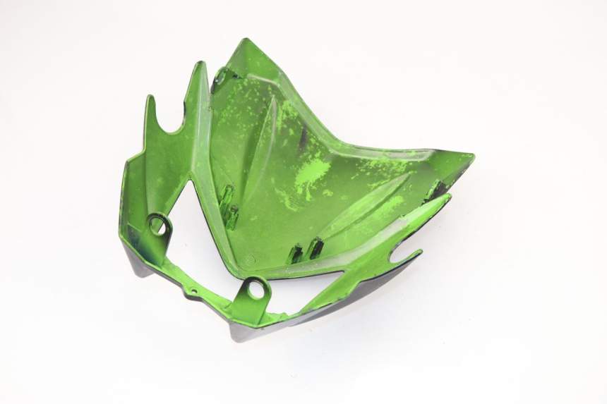 photo de KANZEL RIEJU SMX PRO 50 (2001 - 2009)