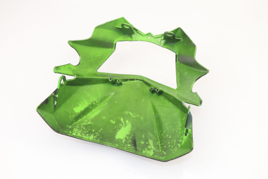 photo de KANZEL RIEJU SMX PRO 50 (2001 - 2009)