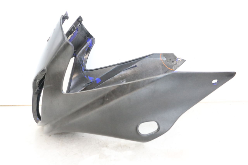 photo de KANZEL YAMAHA FZS FAZER 600 (2001 - 2003)