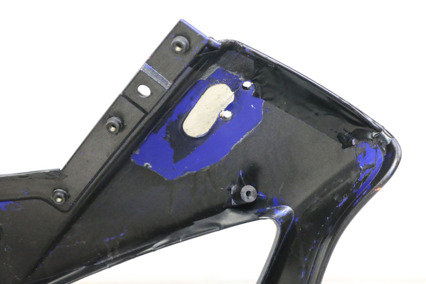 photo de KANZEL YAMAHA FZS FAZER 600 (2001 - 2003)