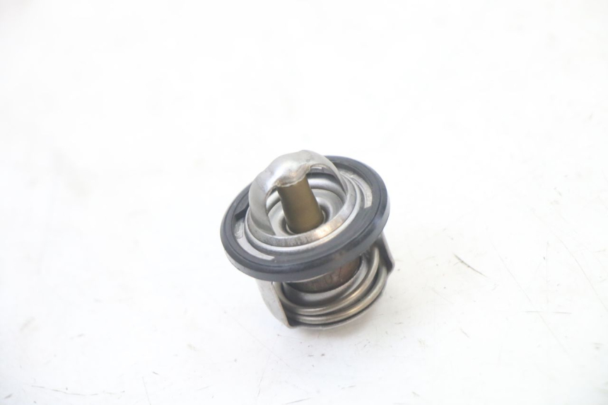 photo de THERMOSTAT  APRILIA ATLANTIC 125 (2003 - 2009)
