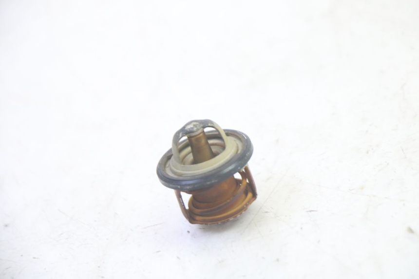 photo de THERMOSTAT PIAGGIO MP3 RL 250 (2007 - 2010) - Zoom auf Gebrauchszustand