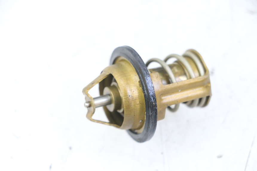 photo de THERMOSTAT  PEUGEOT SATELIS 125 (2013 - 2018)