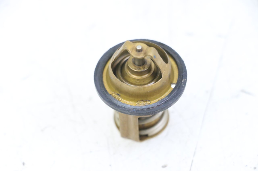 photo de THERMOSTAT  PEUGEOT SATELIS 125 (2013 - 2018)