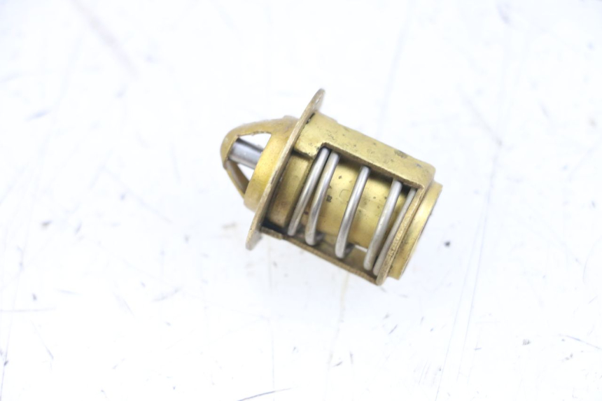 photo de THERMOSTAT  RIEJU MRT 50 (2018 - 2021)
