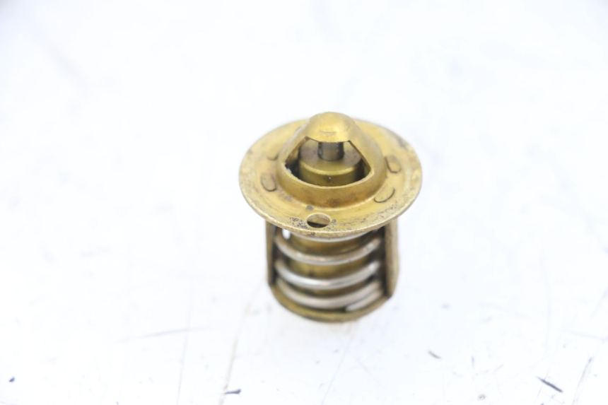 photo de THERMOSTAT  RIEJU MRT 50 (2018 - 2021)
