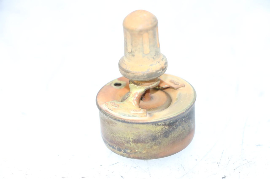 photo de THERMOSTAT  TRIUMPH SPRINT 900 (1995 - 1998)