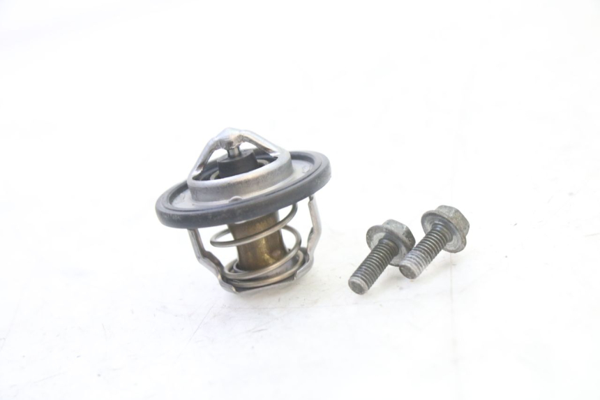 photo de THERMOSTAT  SUZUKI SV S 650 (2003 - 2009)