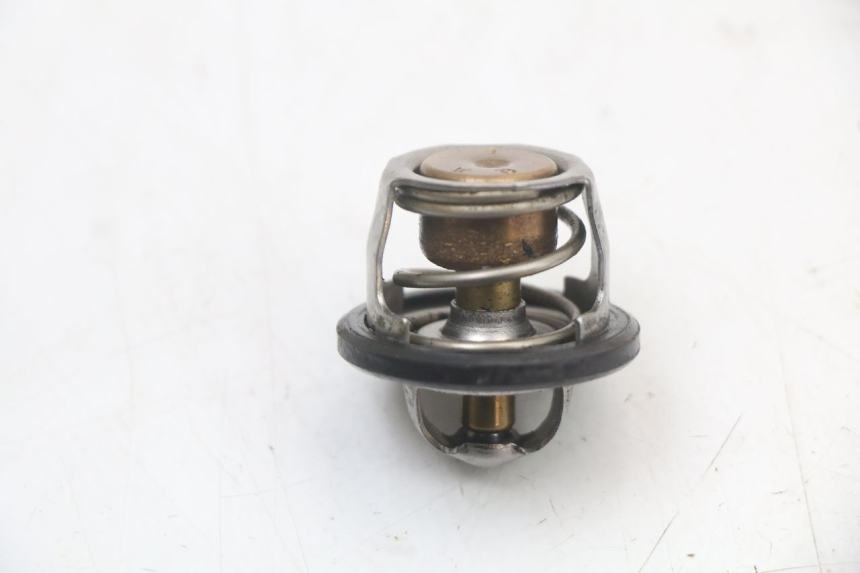 photo de THERMOSTAT  YAMAHA YP MAJESTY 125 (2002 - 2006)