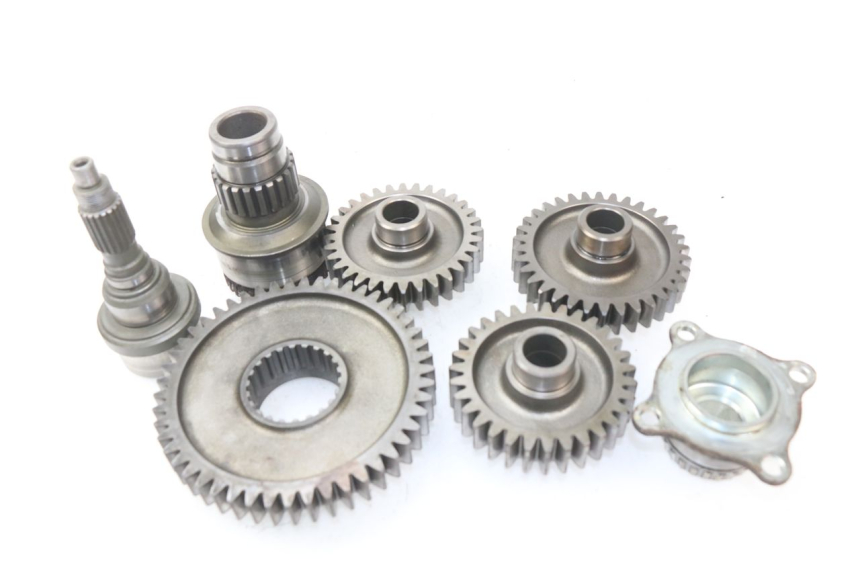 photo de RADANTRIEB SUZUKI BURGMAN 650 (2002 - 2004)