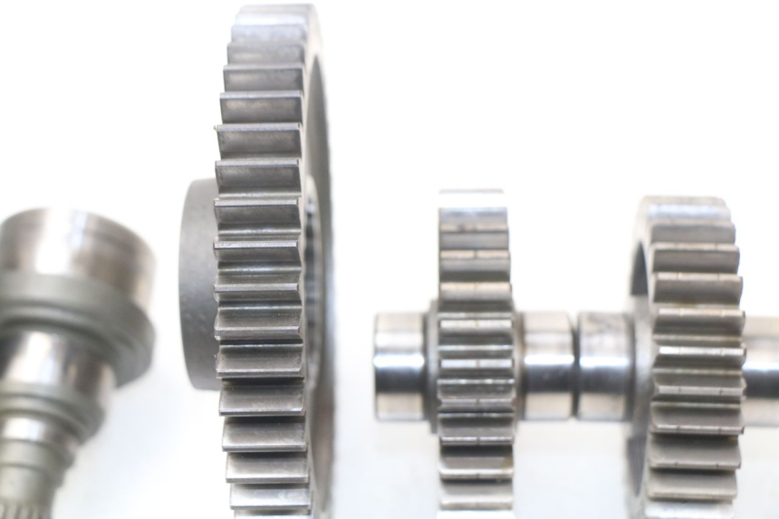 photo de RADANTRIEB SUZUKI BURGMAN 650 (2002 - 2004)