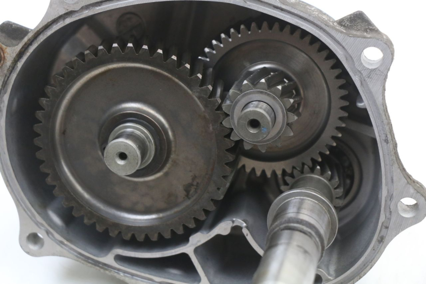 photo de RADANTRIEB SUZUKI BURGMAN 125 (2007 - 2014)