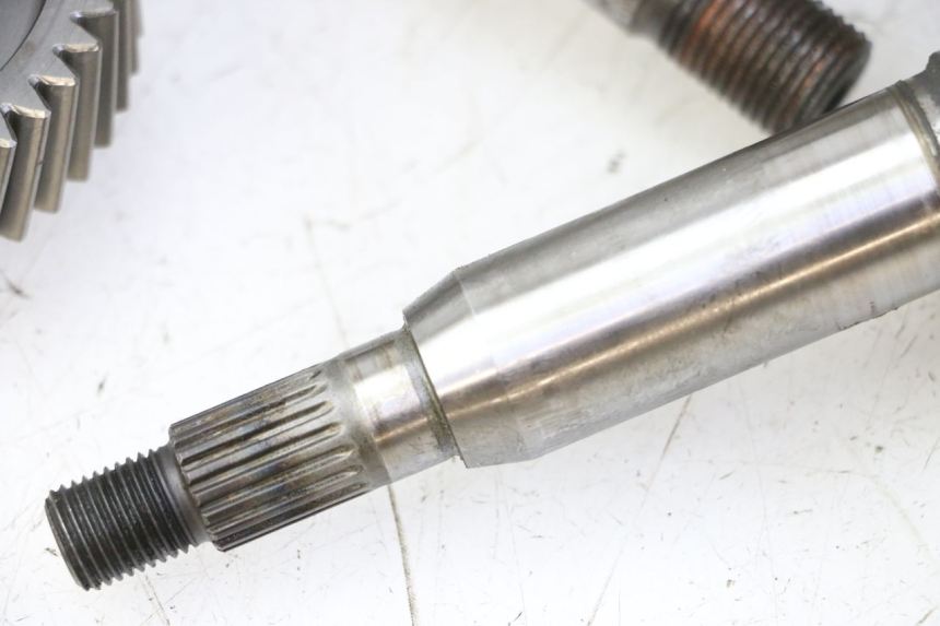 photo de RADANTRIEB SUZUKI BURGMAN 125 (2007 - 2014)