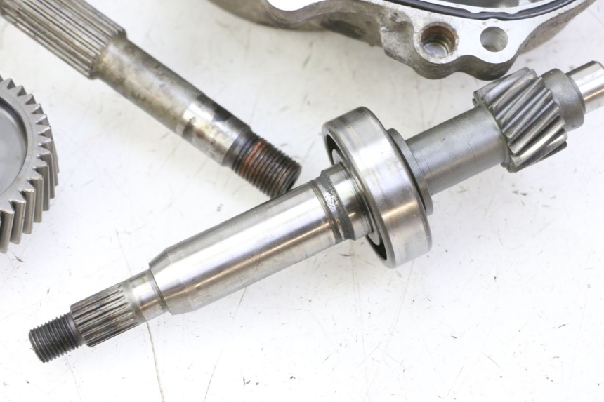 photo de RADANTRIEB SUZUKI BURGMAN 125 (2007 - 2014)