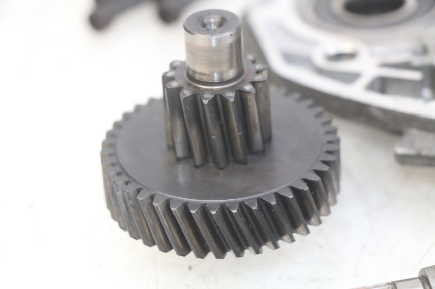 photo de RADANTRIEB PEUGEOT CITYSTAR 125 (2011 - 2017) - Zoom auf Komponenten