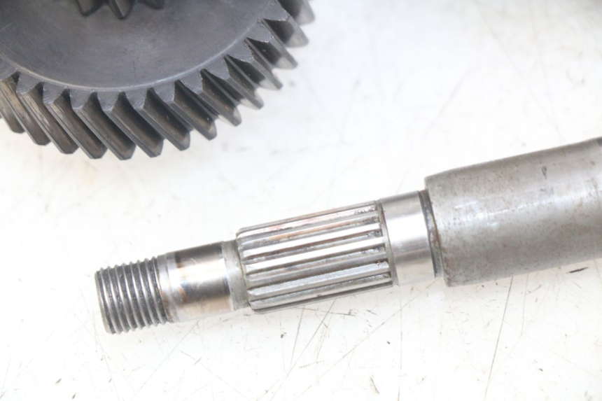 photo de RADANTRIEB PEUGEOT CITYSTAR 125 (2011 - 2017) - Ergänzendes Produktfoto