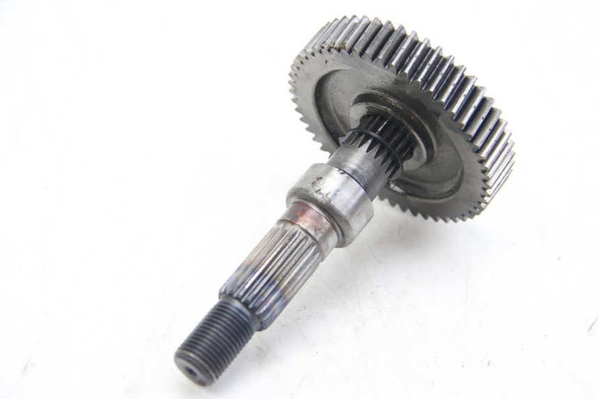 photo de RADANTRIEB LONGJIA DIGITA 4T 50 (2019 - 2022)