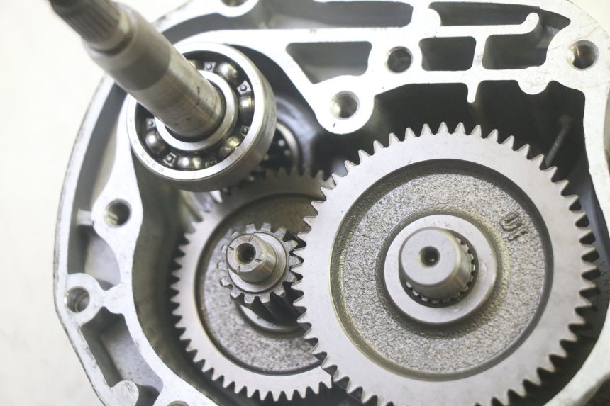 photo de RADANTRIEB LONGJIA DIGITA 4T 50 (2019 - 2022) - Charakteristische Merkmale