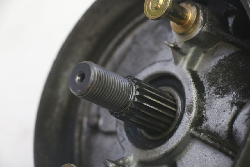 photo de RADANTRIEB LONGJIA DIGITA 4T 50 (2019 - 2022) - Detaillierte Sichtprüfung