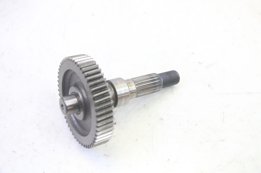 photo de RADANTRIEB LONGJIA DIGITA 4T 50 (2019 - 2022) - Kennzeichnungen und Originalreferenzen