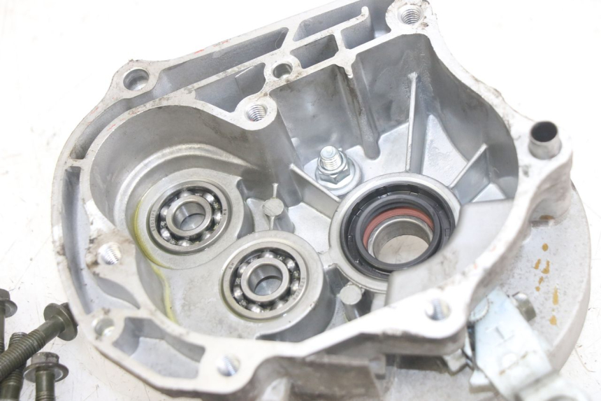 photo de RADANTRIEB JM MOTORS EVOLIS 4T 50 (2018 - 2022)