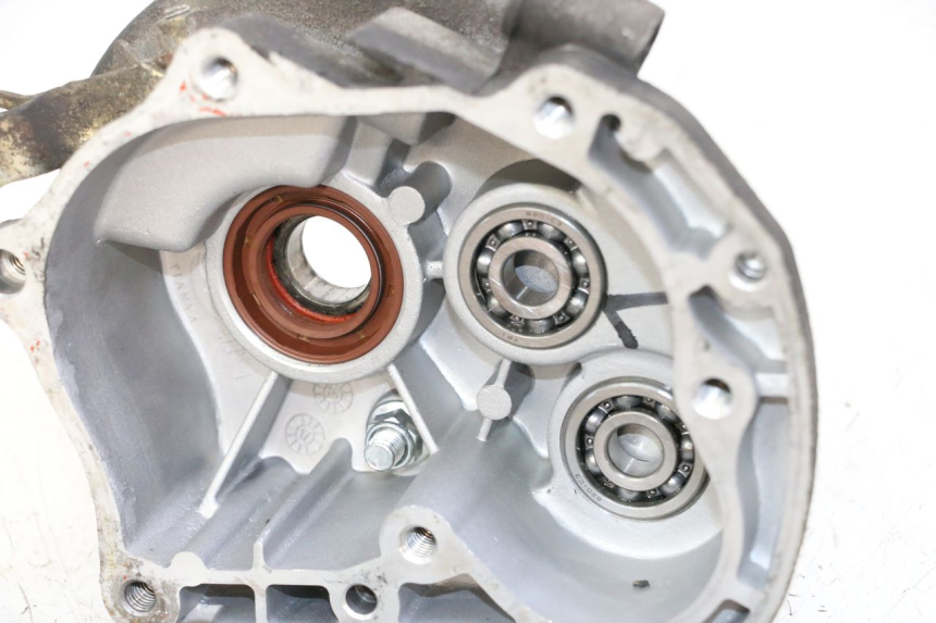 photo de RADANTRIEB JM MOTORS EVOLIS 4T 50 (2018 - 2022)