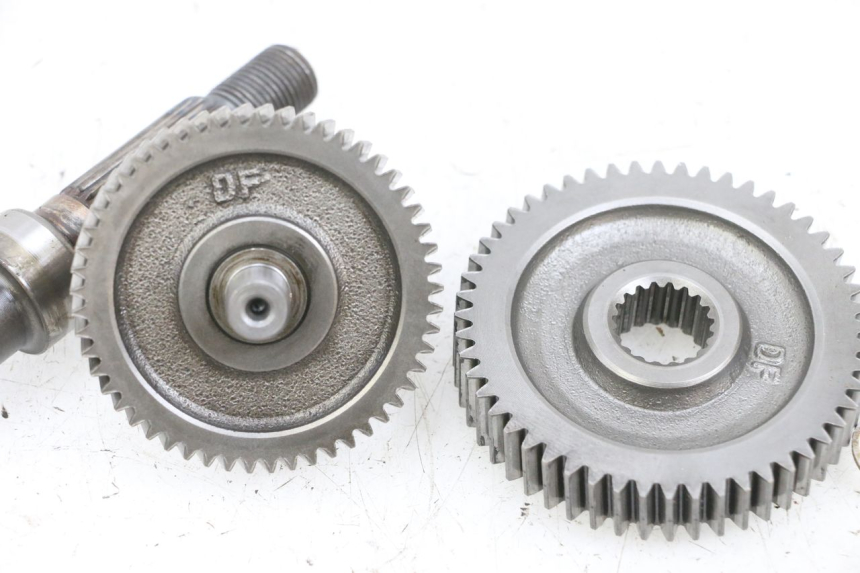 photo de RADANTRIEB PEUGEOT KISBEE 4T 50 (2018 - 2022) - Alternative Perspektive