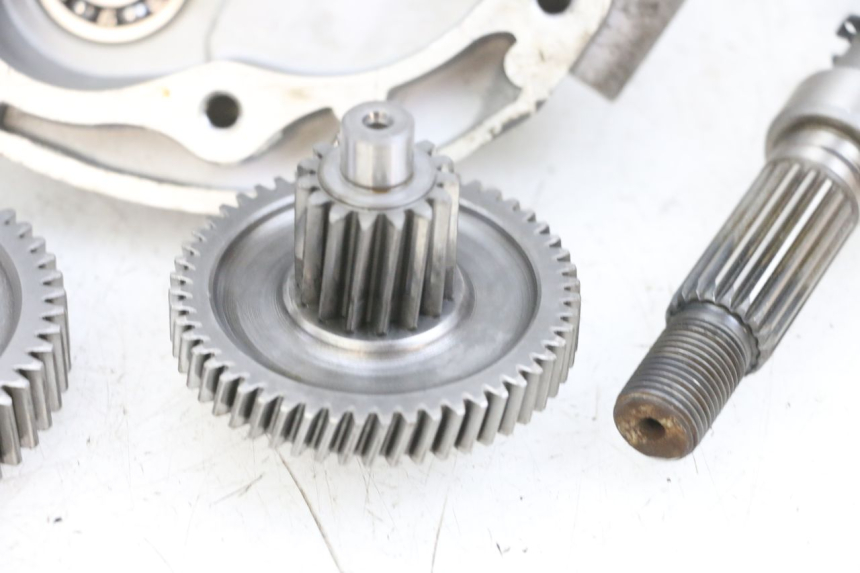 photo de RADANTRIEB PEUGEOT KISBEE 4T 50 (2010 - 2017) - Detaillierte Sichtprüfung