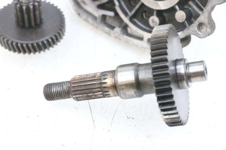 photo de RADANTRIEB PEUGEOT LUDIX 50 (2008 - 2017) - Weitere Ansicht des Artikels