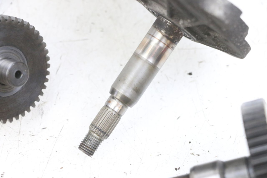 photo de RADANTRIEB PEUGEOT LUDIX 50 (2008 - 2017) - Technische Nahaufnahme