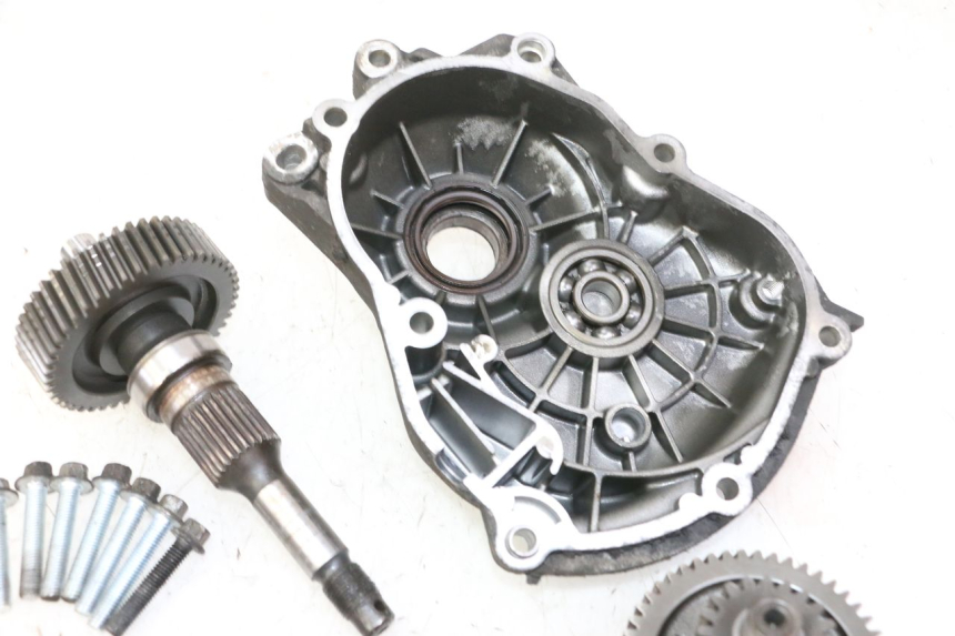 photo de RADANTRIEB PIAGGIO MP3 RL 250 (2007 - 2010)