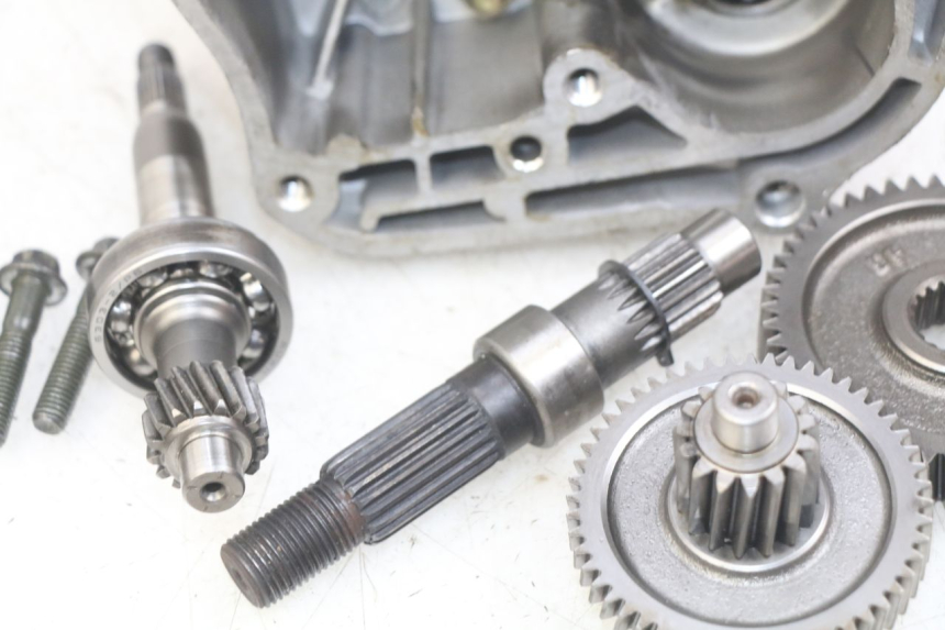 photo de GETRIEBE  TNT MOTOR ROMA 10' 4T 50 (2019 - 2022)