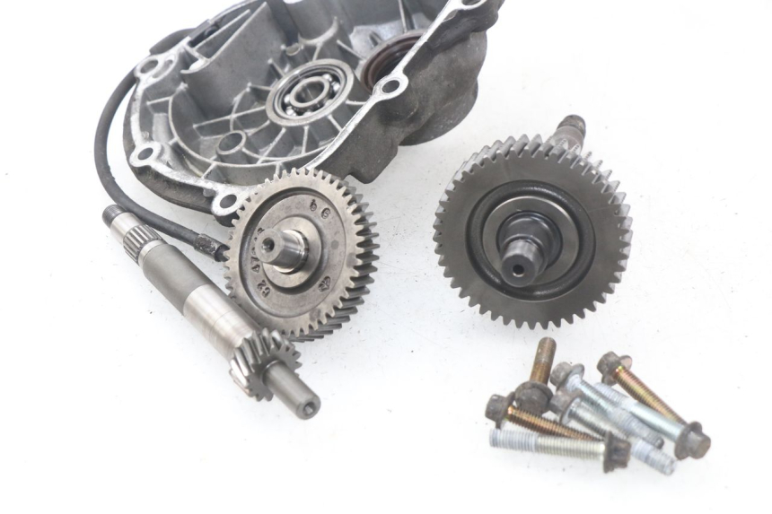 photo de RADANTRIEB PIAGGIO X9 EVOLUTION 125 (2003 - 2007)