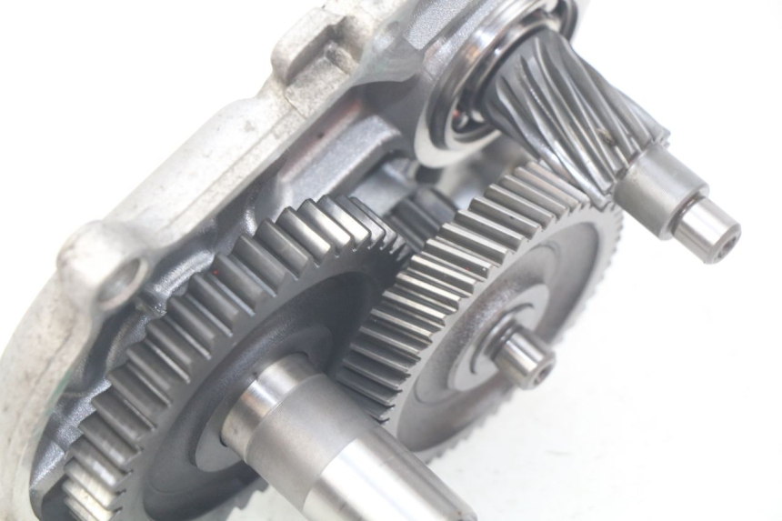photo de RADANTRIEB YAMAHA SLIDER NAKED 50 (2004 - 2018)