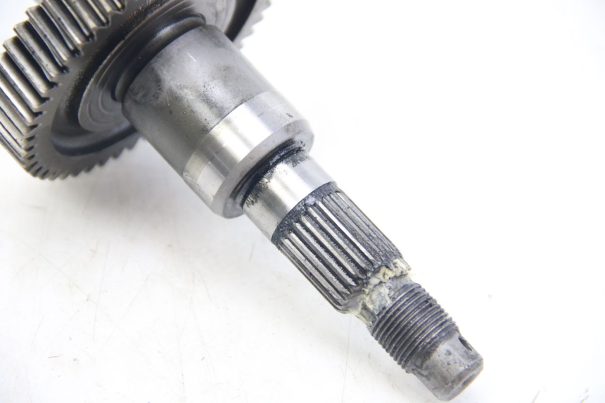 photo de RADANTRIEB PIAGGIO ZIP 4T 50 (2018 - 2020)