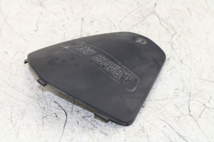 photo de REVISIONSDECKEL KYMCO K-XCT 125 (2013 - 2017)