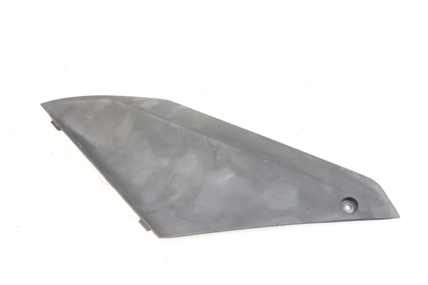 photo de  LINKS REVISIONSDECKEL PEUGEOT GEOPOLIS RS 125 (2007 - 2009)