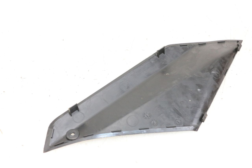 photo de  LINKS REVISIONSDECKEL PEUGEOT GEOPOLIS RS 125 (2007 - 2009)