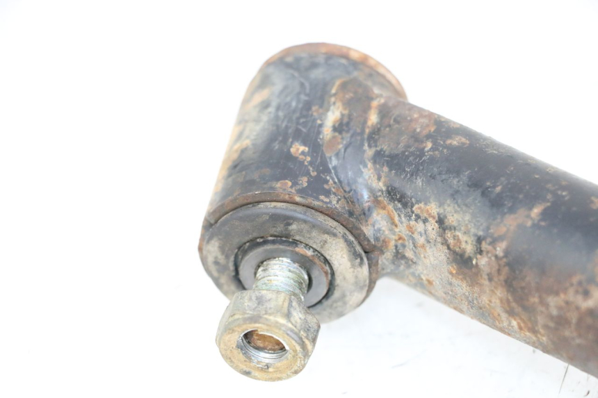 photo de HINTERER DREIECKSLENKER YAMAHA YFM GRIZZLY 550 (2008 - 2015)