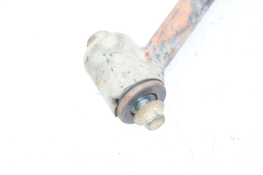 photo de HINTERER DREIECKSLENKER YAMAHA YFM GRIZZLY 550 (2008 - 2015)