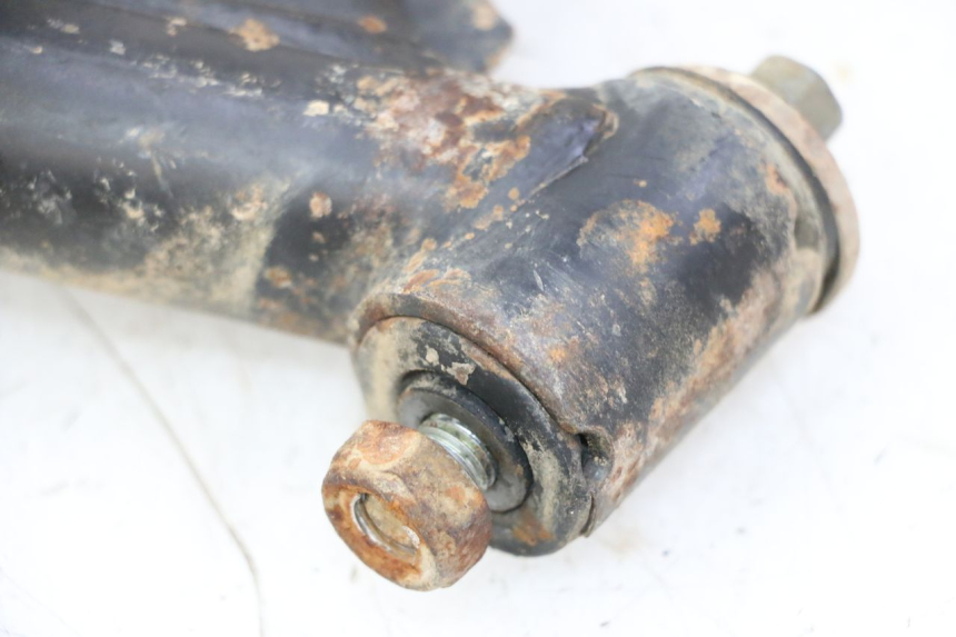 photo de HINTERER DREIECKSLENKER YAMAHA YFM GRIZZLY 550 (2008 - 2015)