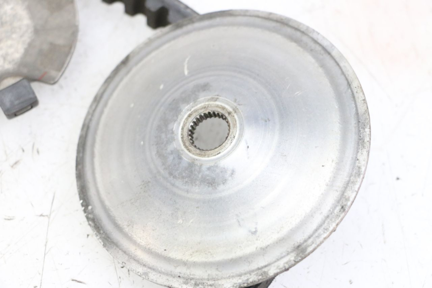 photo de VARIOMATIK PEUGEOT TWEET 4T 50 (2018 - 2020)