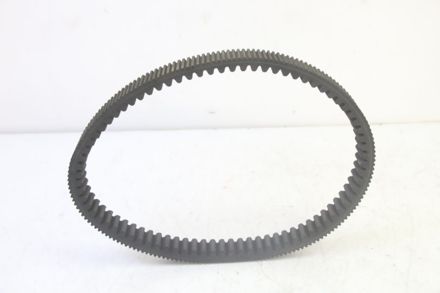 photo de VARIOMATIK YAMAHA YFM GRIZZLY 550 (2008 - 2015)